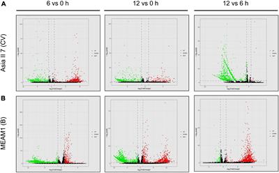 Comparative transcriptome profiling reveals a network of differentially expressed genes in Asia II 7 and MEAM1 whitefly cryptic species in response to early infection of Cotton leaf curl Multan virus